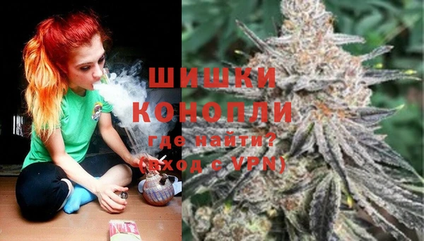 тгк Богородск