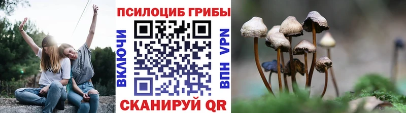 Галлюциногенные грибы MAGIC MUSHROOMS  Княгинино 